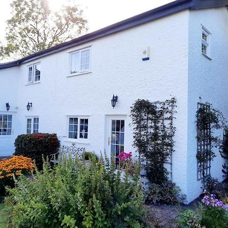 Rhos Y Bel Cottage Angelsey Llangadwaladr  Εξωτερικό φωτογραφία