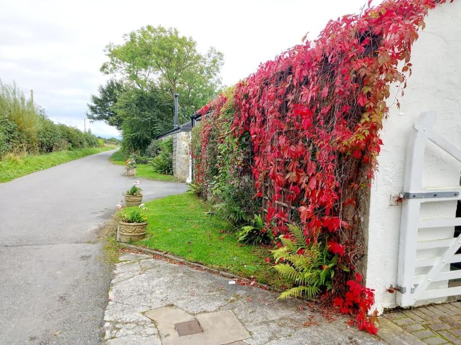 Rhos Y Bel Cottage Angelsey Llangadwaladr  Εξωτερικό φωτογραφία