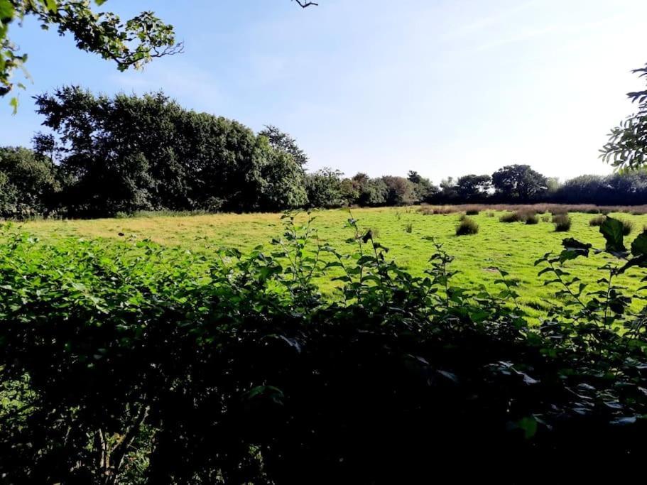 Rhos Y Bel Cottage Angelsey Llangadwaladr  Εξωτερικό φωτογραφία
