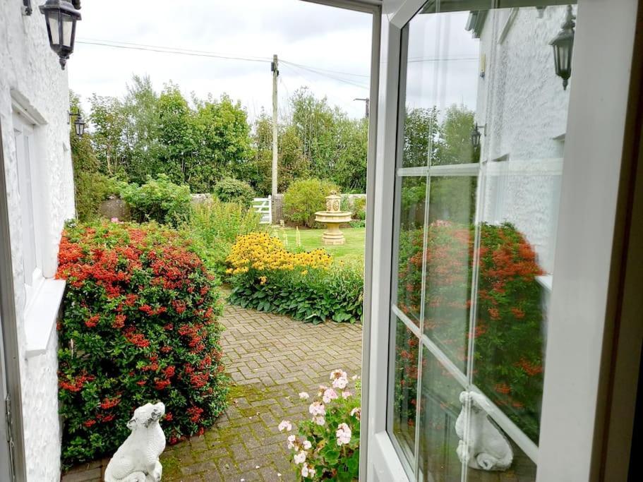 Rhos Y Bel Cottage Angelsey Llangadwaladr  Εξωτερικό φωτογραφία